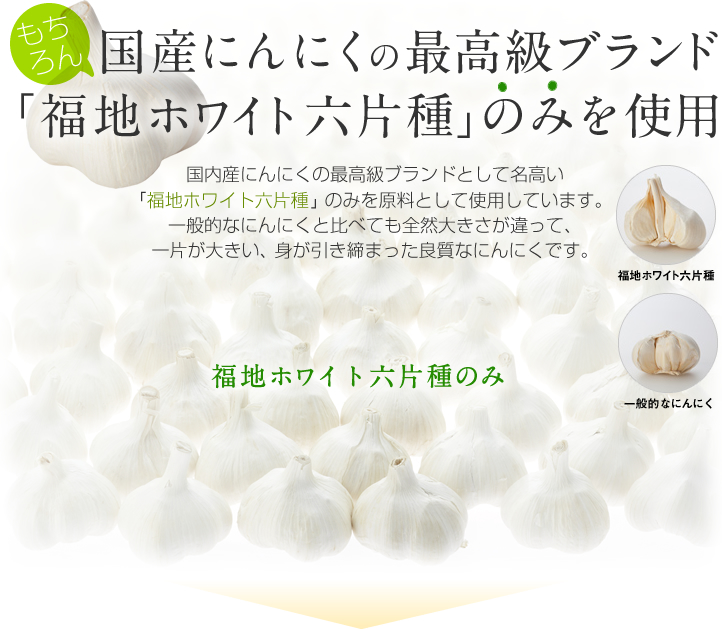 もちろん国産にんにくの最高級ブランド「福地ホワイト六片種」のみを使用
					国内産にんにくの最高級ブランドとして名高い「福地ホワイト六片種」のみを原料として使用しています。一般的なにんにくと比べても全然大きさが違って、
					一片が大きい、身が引き締まった良質なにんにくです。 福地ホワイト六片種のみ 