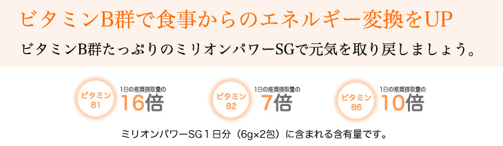 ビタミンB群たっぷりのミリオンパワーSG