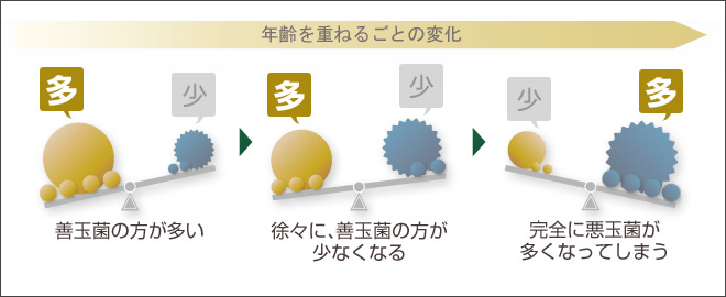 年齢を重ねるごとの変化