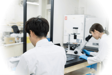 幾度も実験する研究員