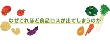 なぜこれほど食品ロスが出てしまうのか